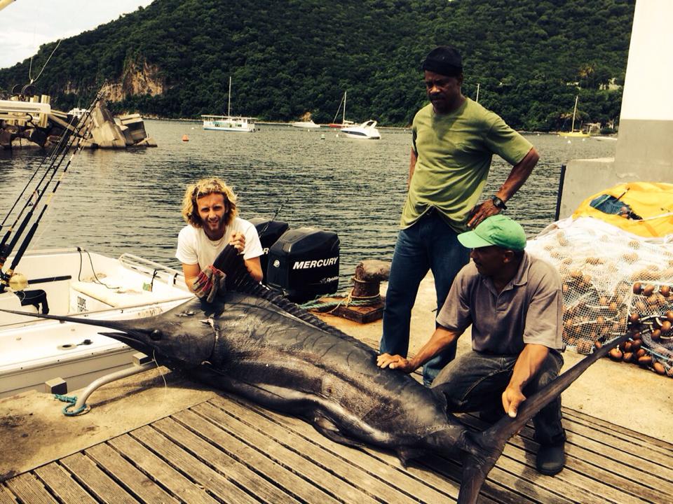 Marlin & gros poissons